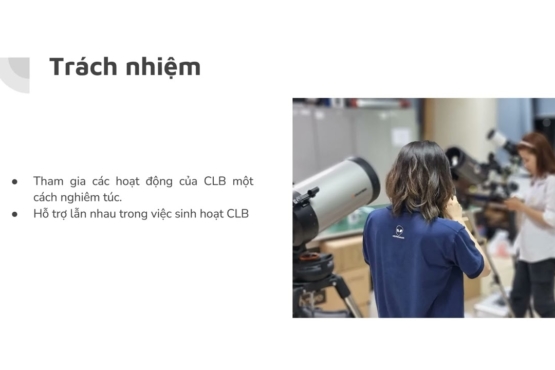 Phóng sự về lá nhân tạo trên VTV1