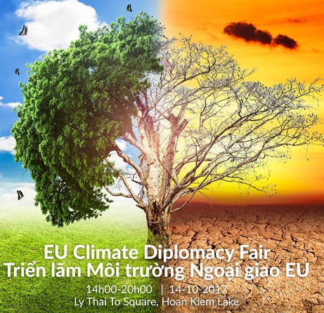 banner website